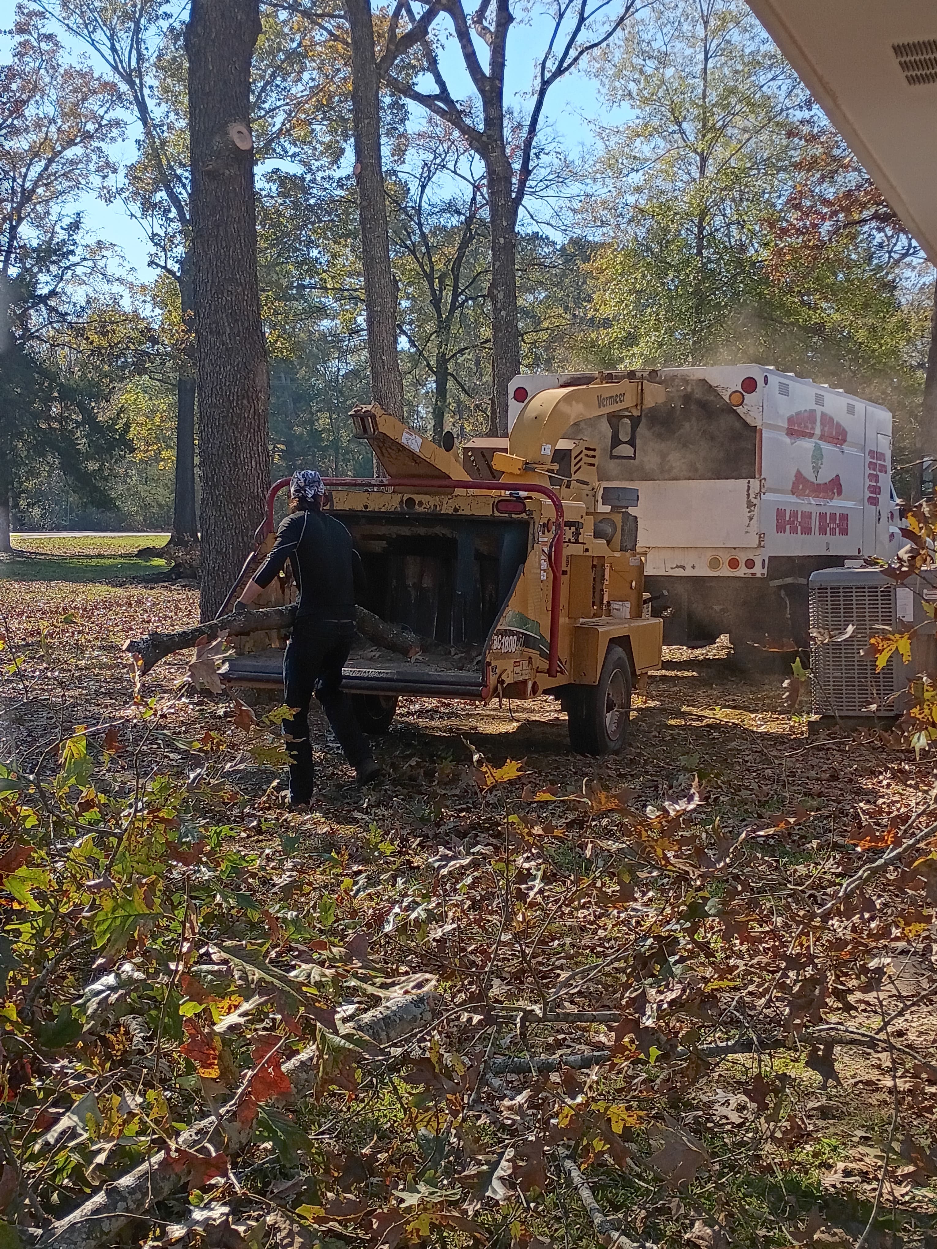 Stump grinding
