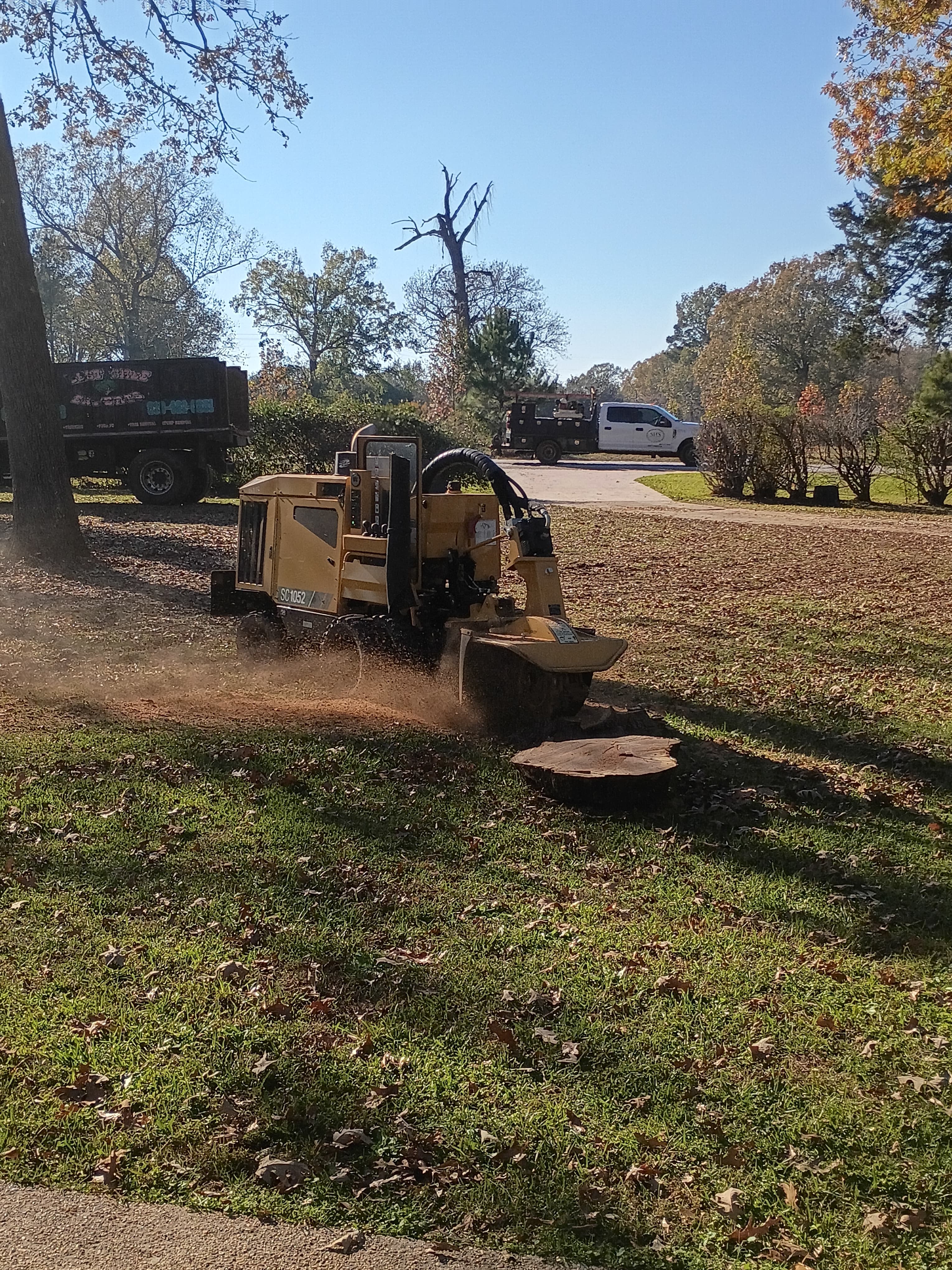Tree work