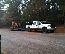 Tree cutting